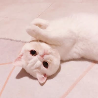 ญาญ่าหญิง รฐา avatar